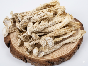 Nấm lộc nhung khô nguyên cây