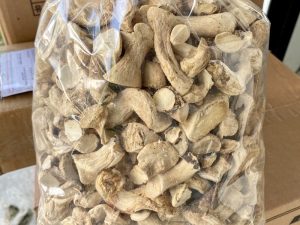 Chân nấm đông cô khô